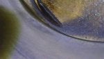 Close-up Water Macro photography